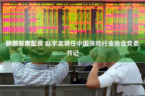 翻翻股票配资 赵宇龙调任中国保险行业协会党委书记