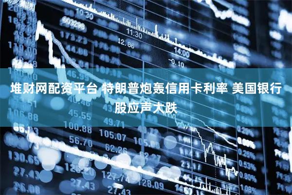 堆财网配资平台 特朗普炮轰信用卡利率 美国银行股应声大跌